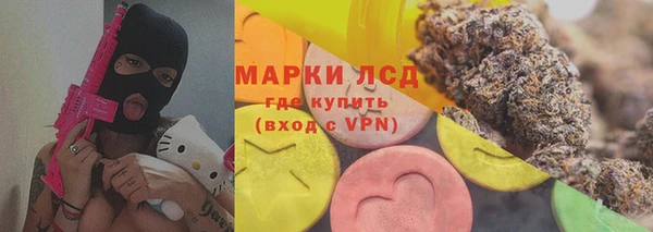 крисы Арсеньев