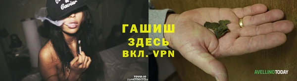 крисы Арсеньев