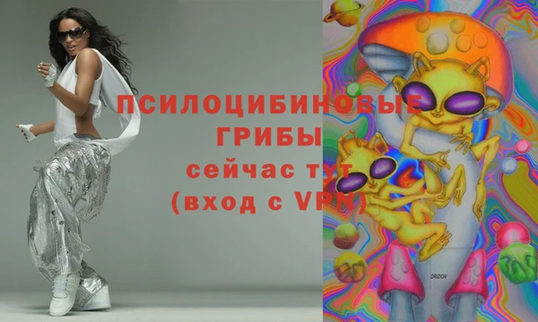 крисы Арсеньев