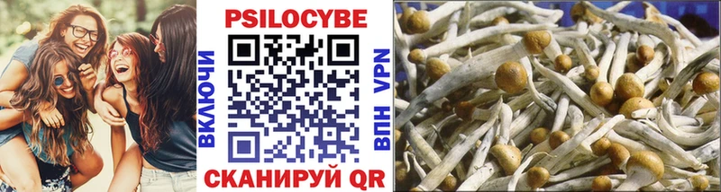 Псилоцибиновые грибы Cubensis  магазин продажи   Ленск 